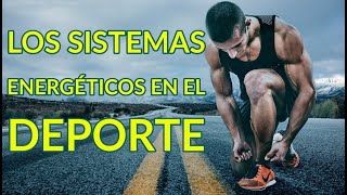 LOS SISTEMAS ENERGÉTICOS EN EL DEPORTE [upl. by Tawnya]