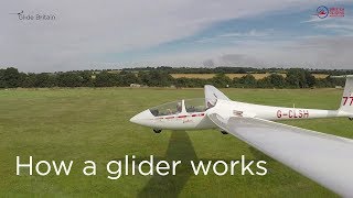 How a glider works [upl. by Enaj]