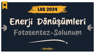 Enerji Dönüşümleri  LGS 2024 [upl. by Atinra]