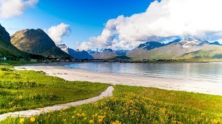 Uplifting Music  light positive happy music Gullrosøya  1 hour [upl. by Hterag859]