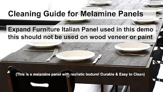 Guide Cleaning Melamine  Removing Permanent Marker and Deep Stains [upl. by Yrome]