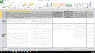 How to Create a Literature Matrix Excel [upl. by Shanahan]