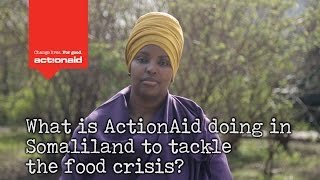 What is ActionAid doing in Somaliland to tackle the food crisis [upl. by Lemahs]