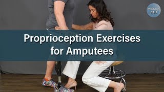 Balance Exercises for Amputees Proprioception [upl. by Ahsiemac]