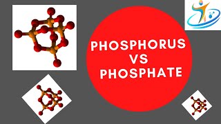 Phosphorus vs Phosphate [upl. by Petite]