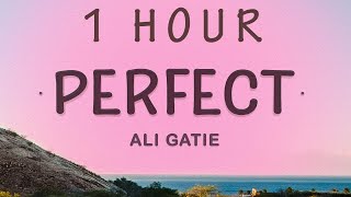 1 HOUR 🕐  Ali Gatie  Perfect Lyrics [upl. by Yllib]