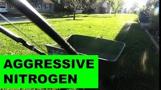 Weekly Urea and Fertilizing the Overseeded Lawn [upl. by Eirojam]