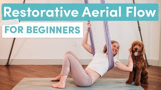 Aerial Yoga Class  Restorative Flow for Beginners [upl. by Bahner]