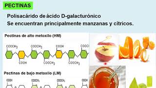 FIBRA ALIMENTARIA [upl. by Hutson]