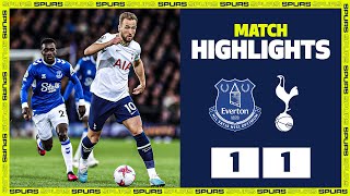 Everton 11 Spurs  PREMIER LEAGUE HIGHLIGHTS [upl. by Rempe56]