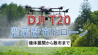 DJI T20農薬散布ドローン展開から実散布まで [upl. by Atikat]