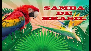 SAMBA DE BRASIL [upl. by Ixela91]