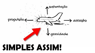 COMO O AVIÃO VOA Explicado em 3 MINUTOS [upl. by Hak443]