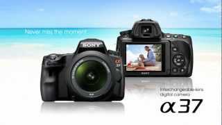 Sony Alpha A37 SLT Camera [upl. by Arni535]