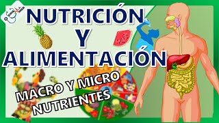 CONCEPTOS BÁSICOS DE NUTRICIÓN Y ALIMENTACIÓN  GuiaMed [upl. by Cardew]