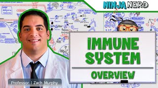 Immunology  Immune System Overview [upl. by Palmore]