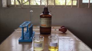 Albumin Detection in Urine  Sulfosalicylic Acid amp Nitric Acid Test for Urine Analysis  ENGLISH [upl. by Bowie432]