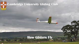 How Gliders Fly [upl. by Ameehs]