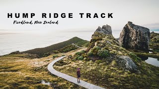 HUMP RIDGE TRACK  FIORDLAND NZ [upl. by Vtarj]