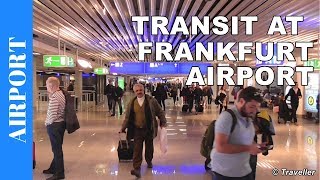 TRANSIT WALK AT FRANKFURT Airport FRA Terminal 1  Connection Flight Transfer Arriving amp Departing [upl. by Philemon]