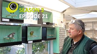 The Canary Room  Season 3 Episode 21  A visit to Dave Rands The Gloster Man [upl. by Melania]